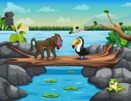 babuíno bonito dos desenhos animados e tucano atravessando o rio vetor