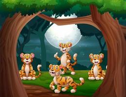 grupo de tigres na selva à noite ilustração vetor
