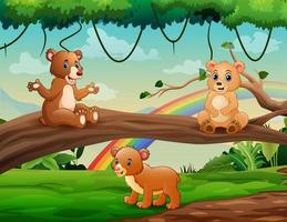 desenho de três ursos fofos brincando na selva vetor