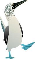 pássaro gannet com um pé azul. figura de ilustração vetorial plana booby solan vetor