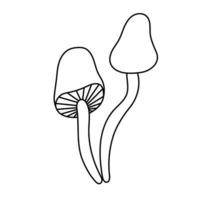 contorno desenho em preto e branco de cogumelos venenosos. ilustração vetorial. página para colorir. vetor