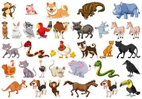 Conjunto diversificado de animais
