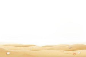 areia de praia de verão e conchas em fundo branco com espaço de cópia vetor