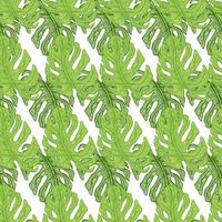 monstera folha sem costura pattern.vintage tropical ramo em estilo de gravura. vetor