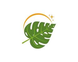 folha de monstera com logotipo de estrelas em ascensão vetor