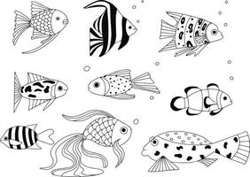 conjunto de peixes exóticos de recifes de corais. animais de natação subaquática. peixes tropicais para o aquário. elementos desenhados à mão de desenho vetorial para design vetor