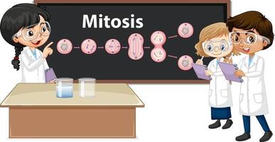 crianças cientista aprendendo ciência da mitose vetor