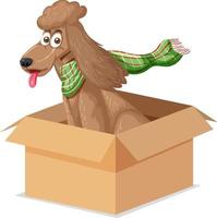 um cachorro sentado na caixa no fundo branco vetor
