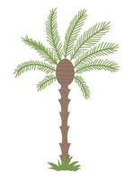 vetor tropical palmeira clip-art. ilustração de folhagem da selva. planta exótica plana desenhada à mão isolada no fundo branco. ilustração de hortaliças de verão infantil brilhante.