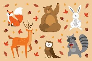 conjunto de animais da floresta de outono de design plano