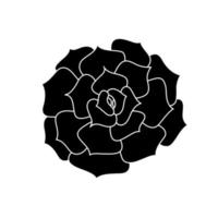echeveria suculenta em estilo simples, ilustração vetorial. flor do deserto para impressão e design. planta mexicana de silhueta, elemento gráfico isolado em um fundo branco. planta de casa para decoração de interiores vetor