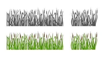 grama com juncos definir silhueta e opção de cor. fundo isolado. ilustração vetorial. vetor