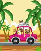 cães e gatos dirigindo um carro na rua da praia vetor