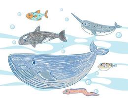 coleção de animais marinhos desenhados à mão colorida