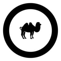 ícone preto de camelo na ilustração vetorial de círculo vetor