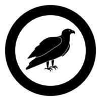 ícone de águia preta em ilustração vetorial de círculo vetor