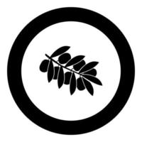 ícone preto de ramo de oliveira em ilustração vetorial de círculo vetor