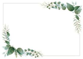 quadro de retângulo botânico em aquarela vetor