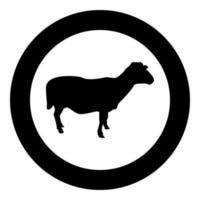 ovelha ovelha gado doméstico animal de fazenda silhueta de gado de cordeiro de casco fendido em círculo redondo ilustração vetorial de cor preta imagem de estilo de contorno sólido vetor