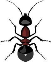 vista superior de formiga realista isolada na ilustração de fundo transparente de formiga realista. vetor