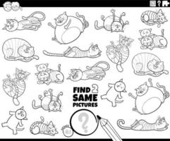 encontre dois mesmos desenhos animados de jogos de gatos para colorir página do livro vetor