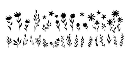 conjunto de elementos florais vintage de vetor. bonito conjunto de molduras e bordas de doodle. elementos flores, ramos, swashes e floreios vetor
