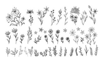 conjunto de elementos florais vintage de vetor. bonito conjunto de molduras e bordas de doodle. elementos flores, ramos, swashes e floreios