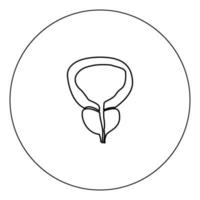 a cor preta do ícone da próstata e da bexiga na ilustração vetorial de círculo isolada vetor