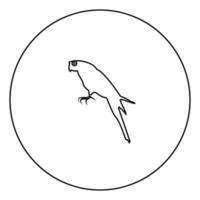 ícone de papagaio cor preta em círculo vetor