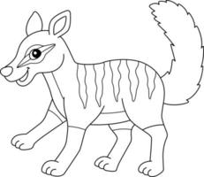 página para colorir animal numbat isolada para crianças vetor