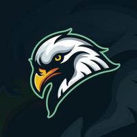 logotipo da equipe esports águia mascote vetor