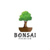 design de logotipo de bonsai ilustração de ícone de vetor ideia criativa gráfica