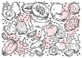 comida de ilustração vetorial desenhada à mão no quadro branco. doodle linha frutas e bagas exóticas, abacate, kiwi, banana, morango, mamão, pitaya, carambola, limão, cereja, figo vetor