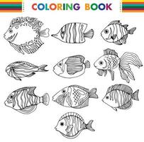 peixes do mar dos desenhos animados delineados para colorir página em um fundo branco vetor