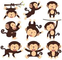 conjunto de poses diferentes de desenho animado de macaco bonito vetor
