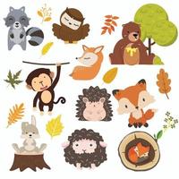 conjunto de desenhos animados de animais da floresta da floresta vetor