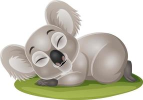coala bebê engraçado dos desenhos animados dormindo na grama vetor