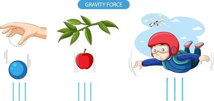 exemplo de experimento de força gravitacional vetor