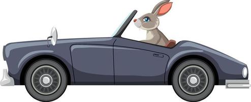 um coelho no carro clássico em fundo branco vetor
