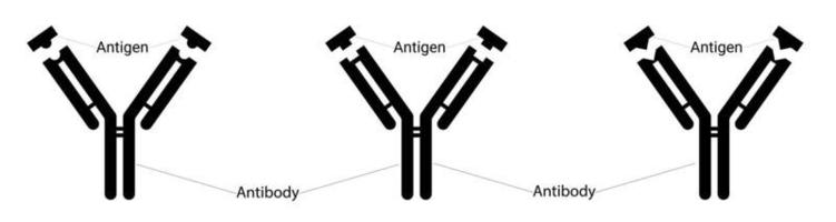 diferentes tipos de antígenos e diferentes tipos de anticorpos. imunidade humana. combatendo vírus. epítopo e paratopo. plano. ilustração vetorial. vetor