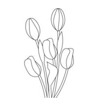 flor de tulipa desabrochando com botão de buquê para colorir para ilustração de impressão vetor