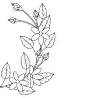 página de coloração de arte de linha de traçado para esboço de desenho de flores de crianças vetor