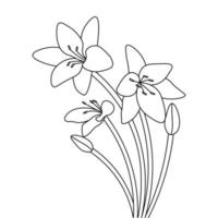 modelo de página para colorir de ilustração de flores tropicais em fundo isolado vetor