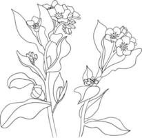 desenho de linha desenhado à mão de flores da primavera selvagem. elementos botânicos isolados no fundo branco. vetor