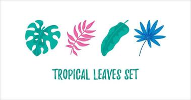 conjunto de folhas tropicais desenhadas à mão isoladas em branco vetor
