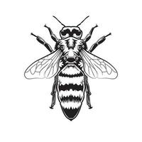 abelha de arte de linha