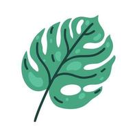 ícone de vetor de folha monstera deliciosa. planta tropical verde com manchas, veias. clipart plana dos desenhos animados, ilustração simples, isolada no fundo branco. elemento botânico para decoração, design