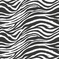cavalo de pele de zebra sem costura padrão para moda