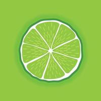 vetor fatia redonda madura fresca de frutas de limão. comida saudável. fundo verde cítrico colorido