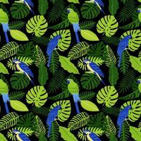 padrão sem emenda de vetor com folhas de monstera tropicais, palmeiras, samambaias e papagaios. arara azul e dourada e arara azul. ilustração de verão